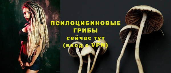 марки lsd Аркадак