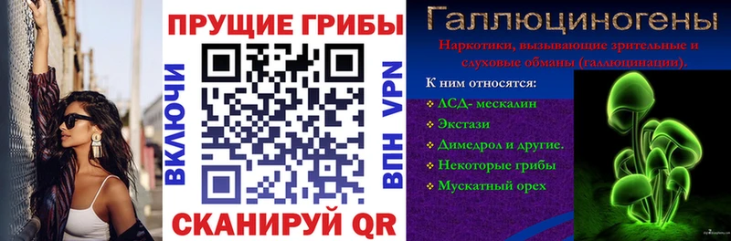 МЕГА   Нефтекумск  Псилоцибиновые грибы прущие грибы 